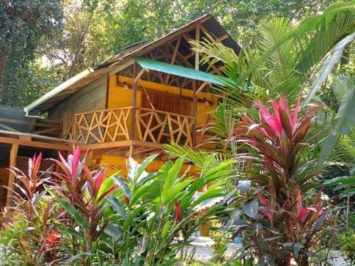 Casa Moabi Bed & Breakfast Cocles Luaran gambar