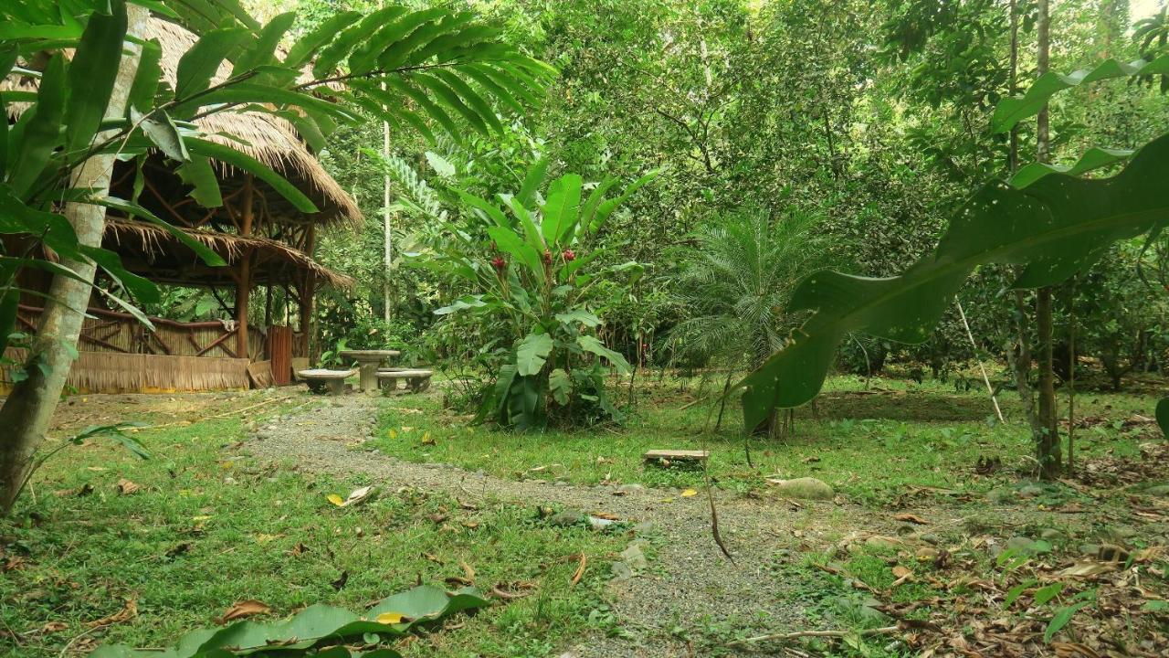 Casa Moabi Bed & Breakfast Cocles Luaran gambar
