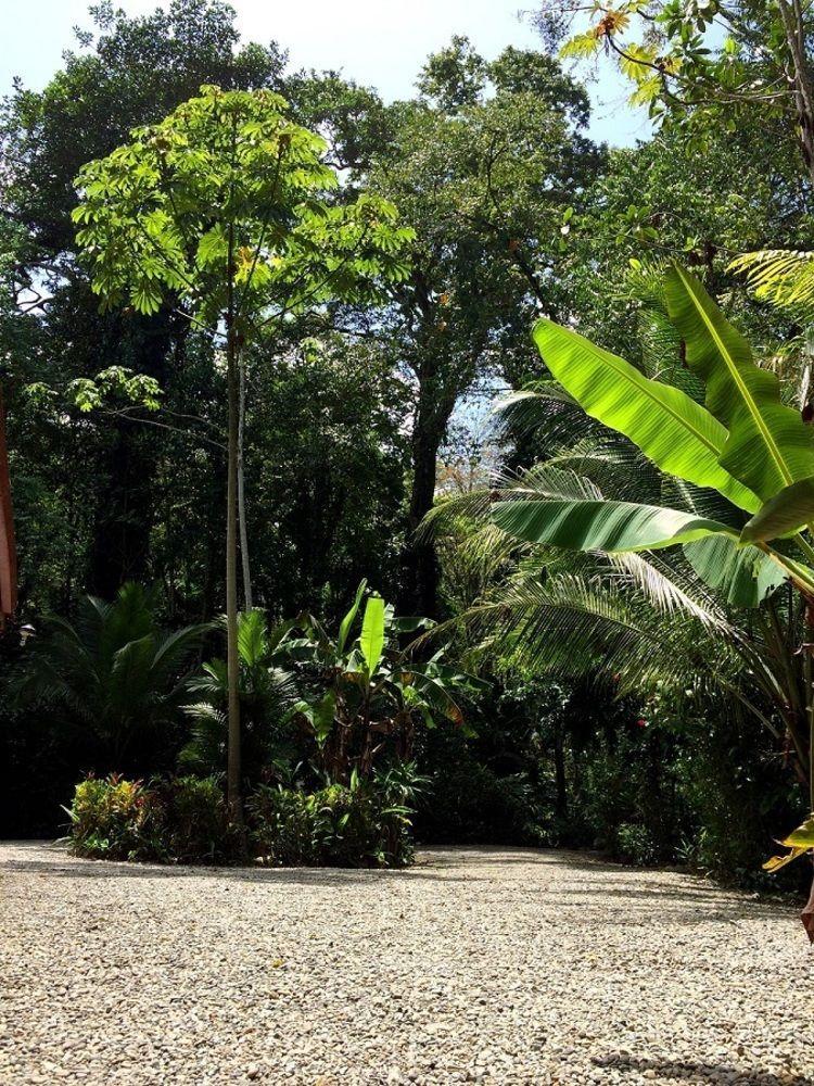 Casa Moabi Bed & Breakfast Cocles Luaran gambar