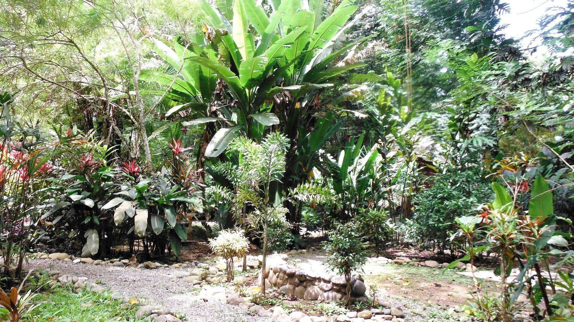 Casa Moabi Bed & Breakfast Cocles Luaran gambar