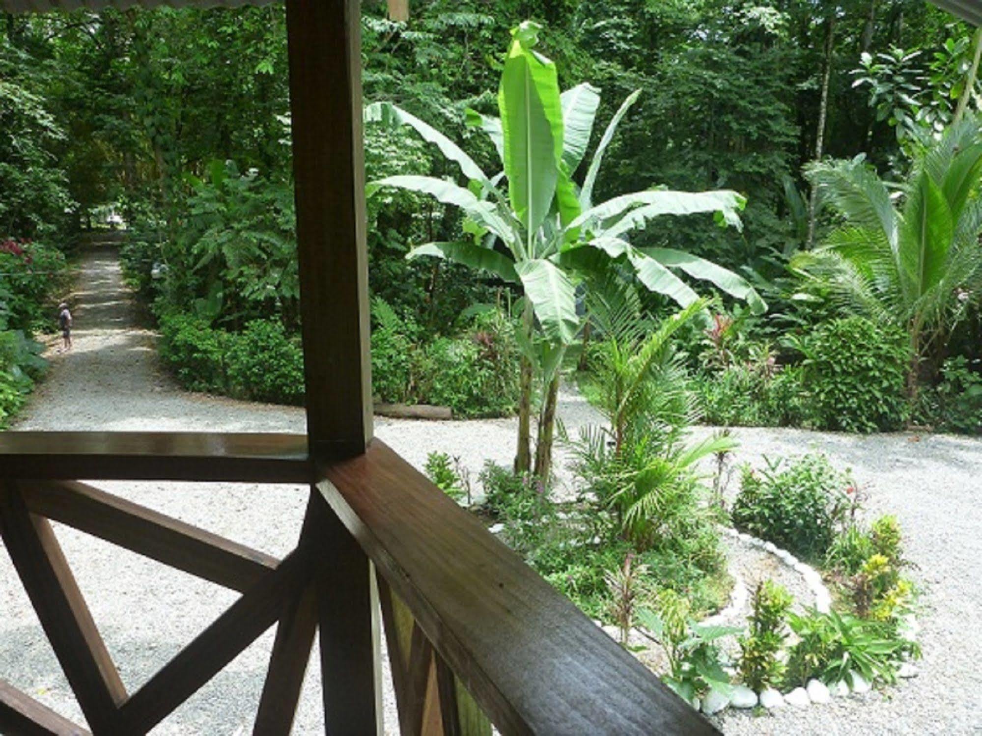 Casa Moabi Bed & Breakfast Cocles Luaran gambar