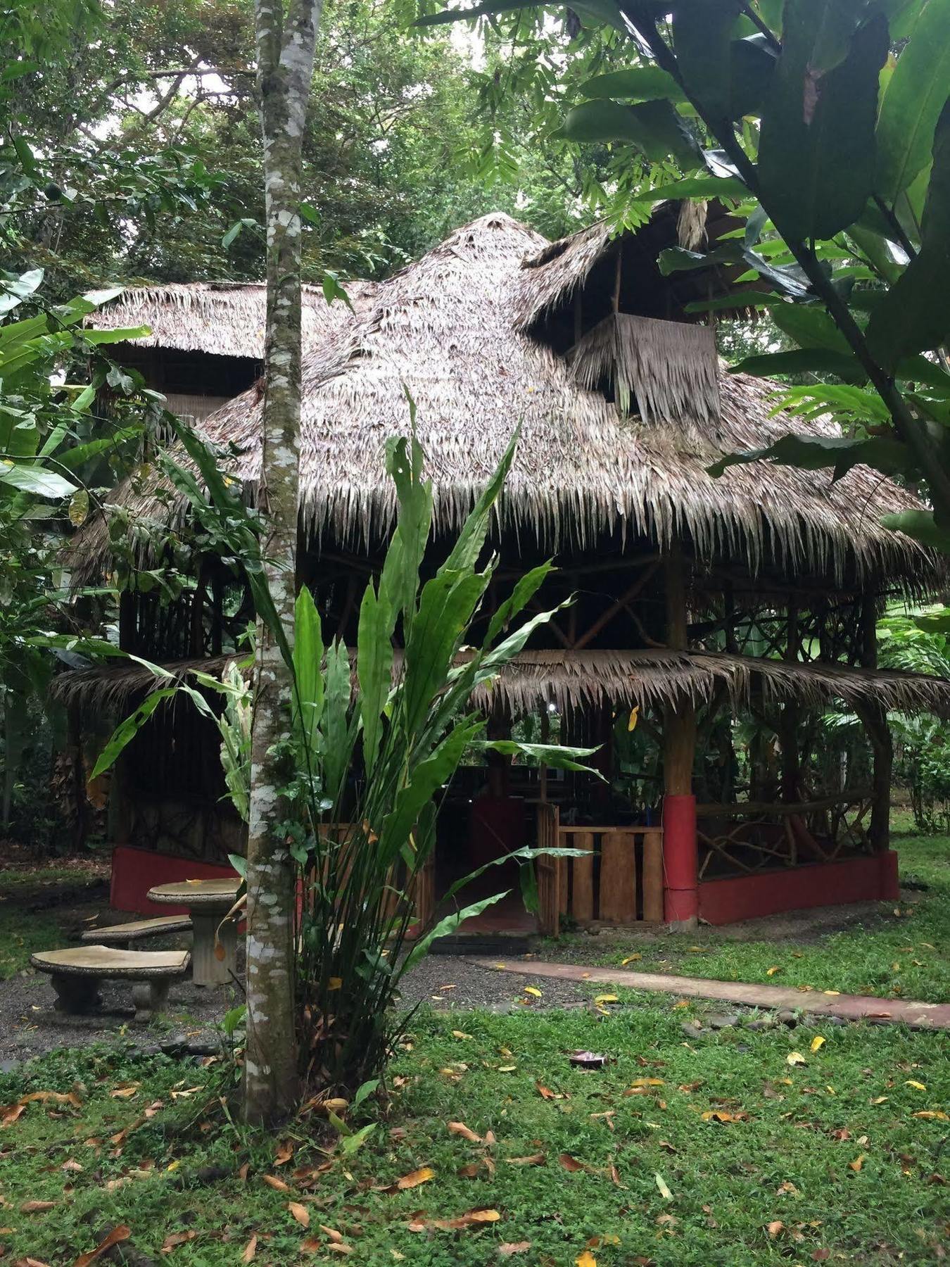 Casa Moabi Bed & Breakfast Cocles Luaran gambar