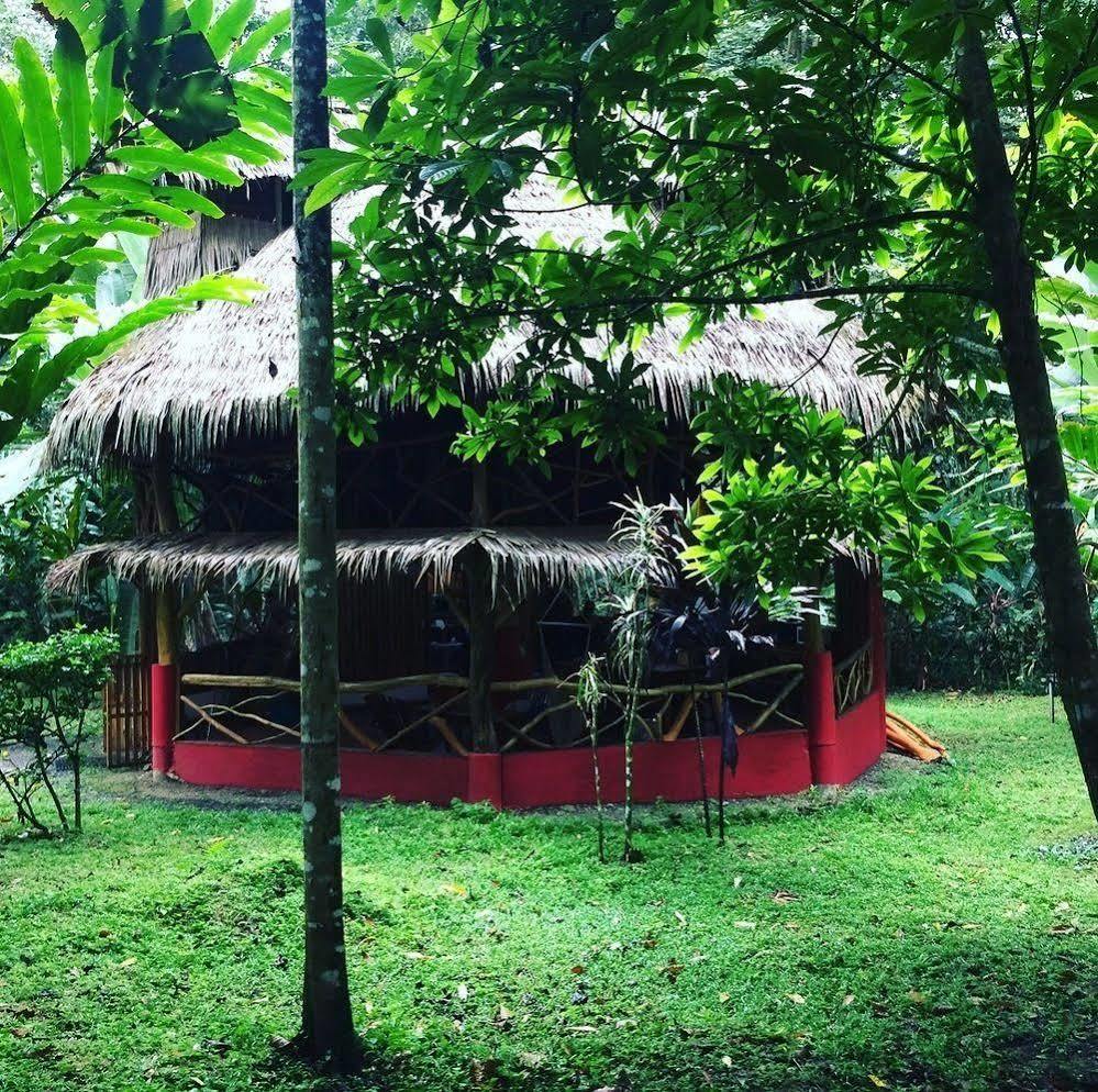 Casa Moabi Bed & Breakfast Cocles Luaran gambar